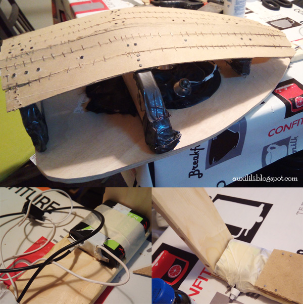 The Face Within the Lute